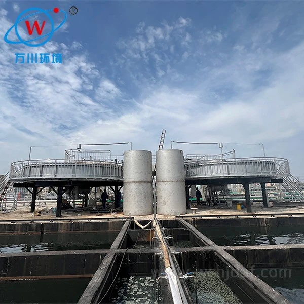 High Speed Shallow Flotation